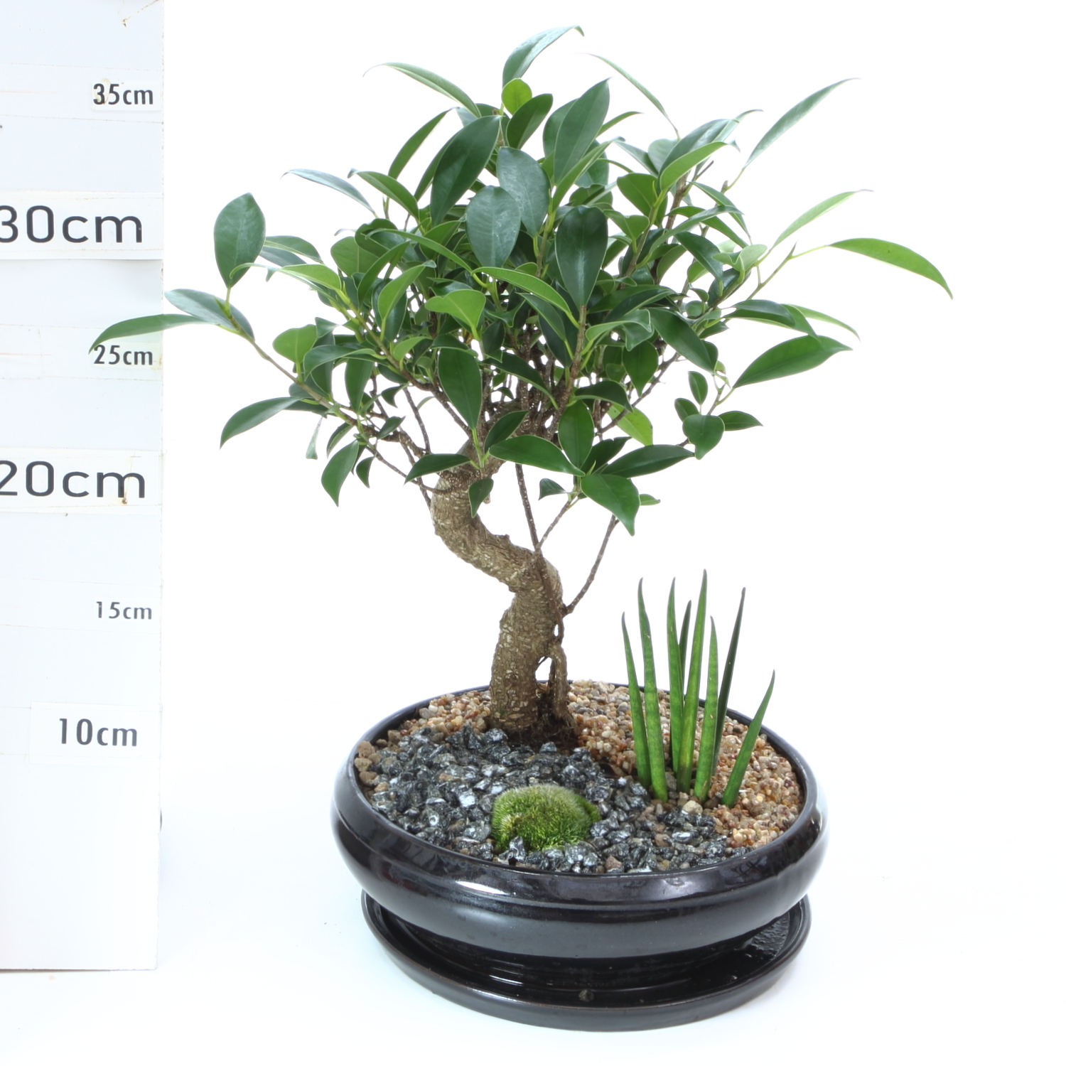 JA FR M3.7 Ø18cm+S – Image 2