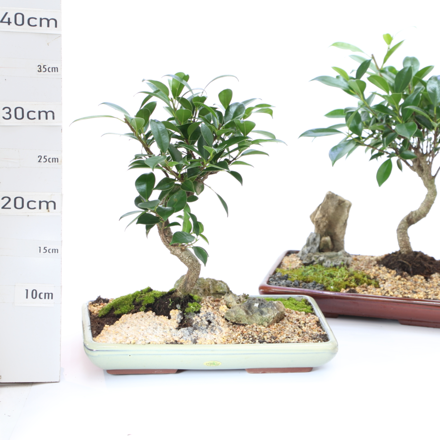 JA M4.2 Rec 30cm sans sc