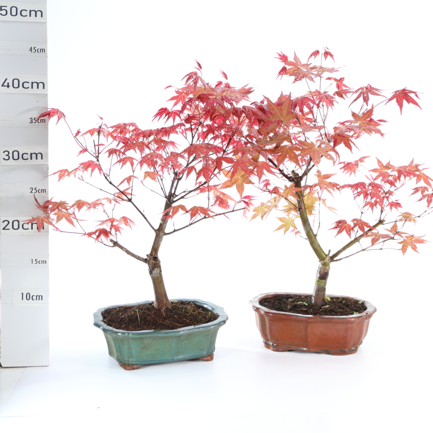 Acer M4 desho